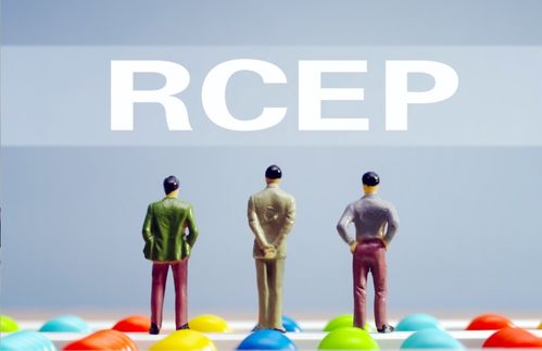 商務(wù)部推出五大舉措，助力企業(yè)搭乘RCEP“快車”